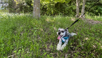 テキストテキストテキスト