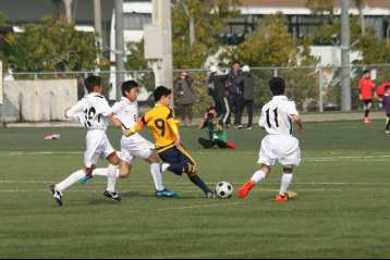 テキストテキストテキスト